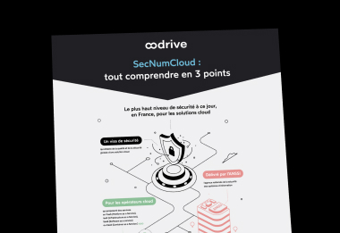 Image d'illustration d'inforgraphie, SecNumCloud : tout comprendre en 3 points