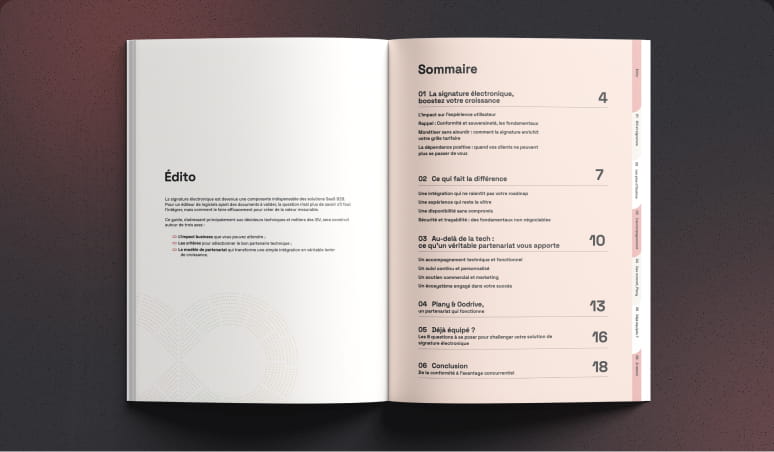 Image Sommaire, ebook signature éléctronique - De l’intégration à la monétisation